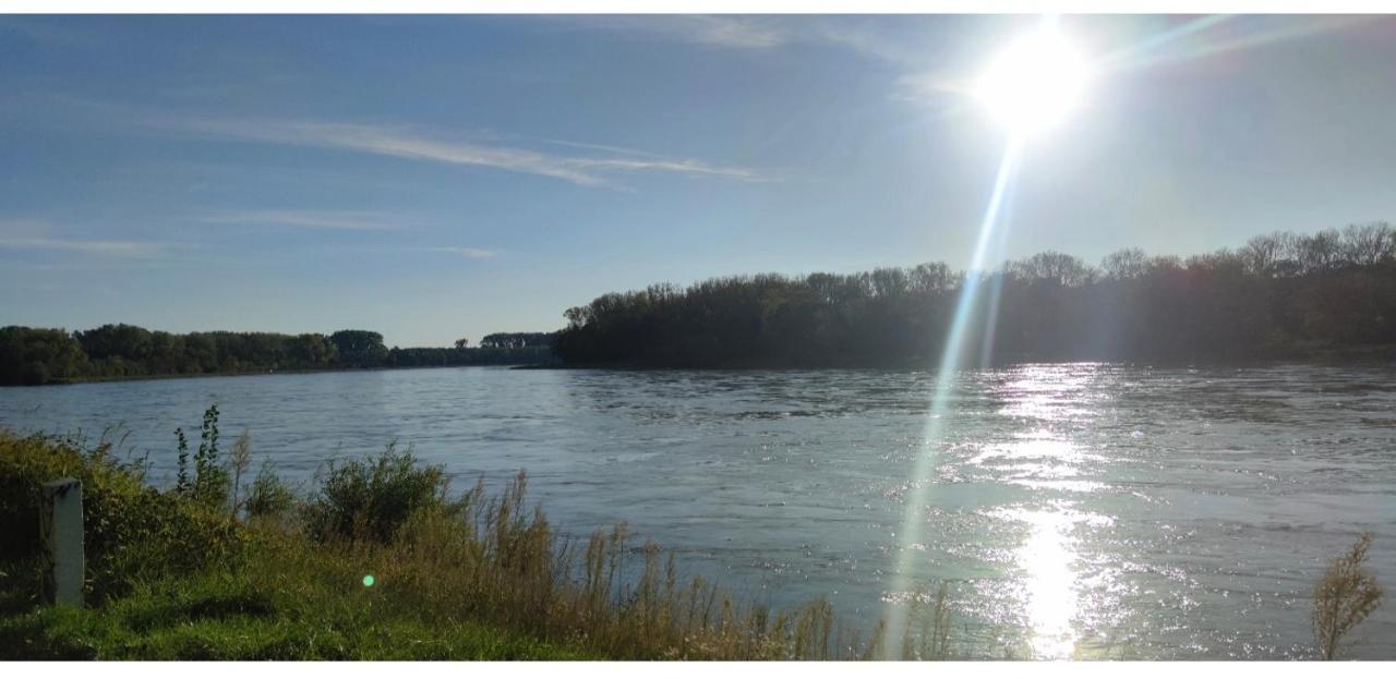 Urlaub Am Rhein Speyer Hockenheim Apartment Altlussheim Luaran gambar
